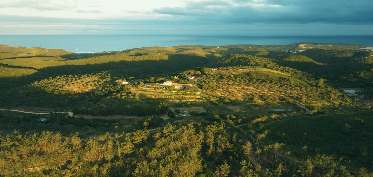 Open land and sky at Monte Velho, Costa Vicentina Natural Park